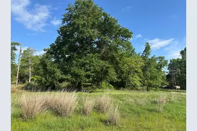 439 Walnut Ln Lane, Buffalo, TX 75831 - Photo 6