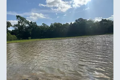 439 Walnut Ln Lane, Buffalo, TX 75831 - Photo 2