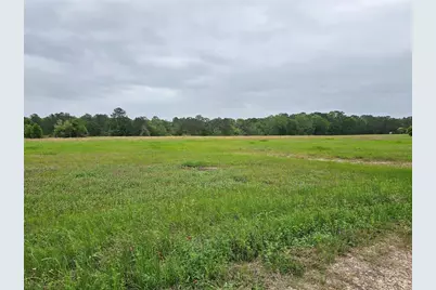 18995 Fm 1484 Road, Conroe, TX 77303 - Photo 10