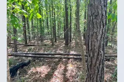 Tbd Westridge Park, Livingston, TX 77351 - Photo 2