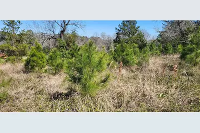 00 Grassy Lane, Coldspring, TX 77331 - Photo 16