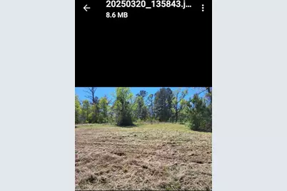 00 Grassy Lane, Coldspring, TX 77331 - Photo 24