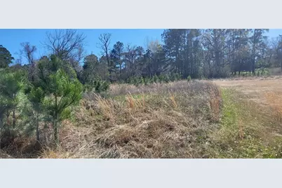 00 Grassy Lane, Coldspring, TX 77331 - Photo 8