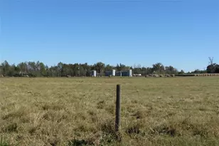 343 Evie Davidson Rd, Apple Springs, TX 75926 - Photo 12