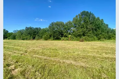 Lot #135 Jb McDuff Drive, Crockett, TX 75835 - Photo 6