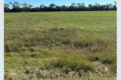 000 Brahman Trail, Angleton, TX 77515 - Photo 1