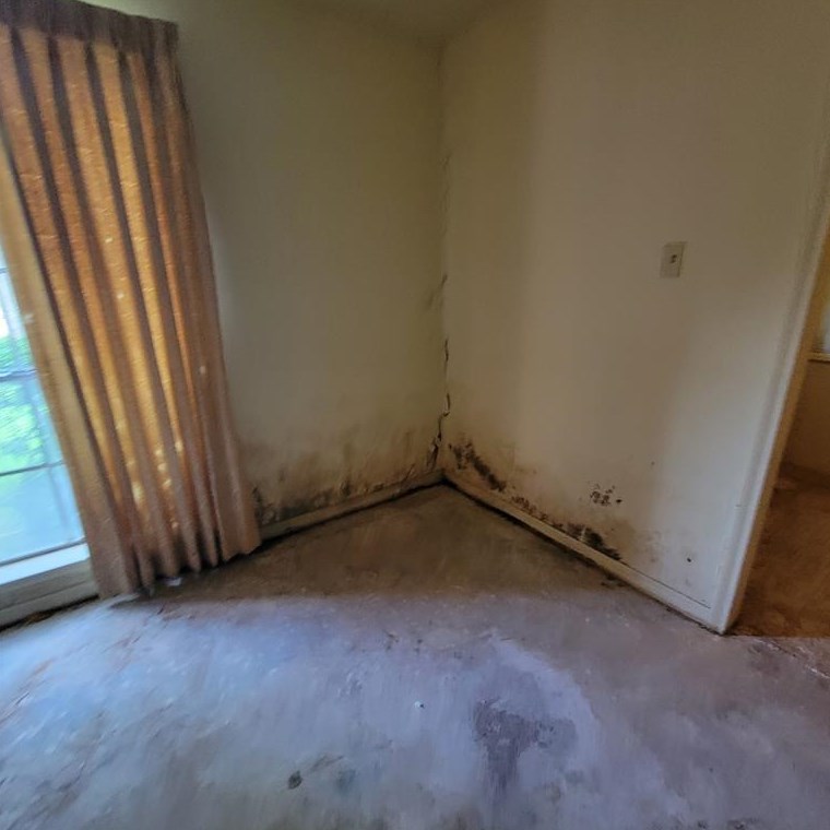18630 Prince William Ln, Houston TX  77058-4225 exterior