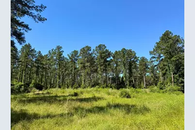 0 Bo Brown Road, Trinity, TX 75862 - Photo 14