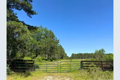 0 Bo Brown Road, Trinity, TX 75862 - Photo 6