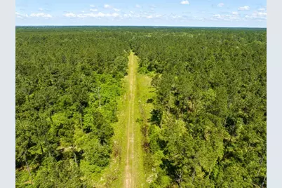 0 Bo Brown Road, Trinity, TX 75862 - Photo 24