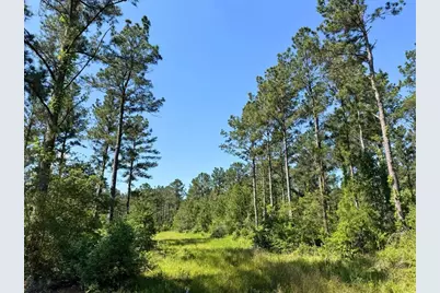 0 Bo Brown Road, Trinity, TX 75862 - Photo 12