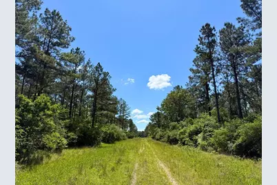 0 Bo Brown Road, Trinity, TX 75862 - Photo 16
