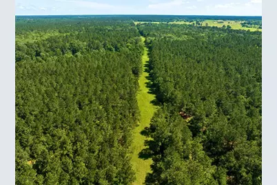 0 Bo Brown Road, Trinity, TX 75862 - Photo 4