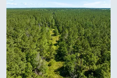 0 Bo Brown Road, Trinity, TX 75862 - Photo 2
