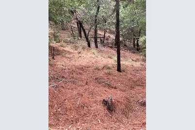 000 Wahane Or Koko, Bastrop, TX 78602 - Photo 10