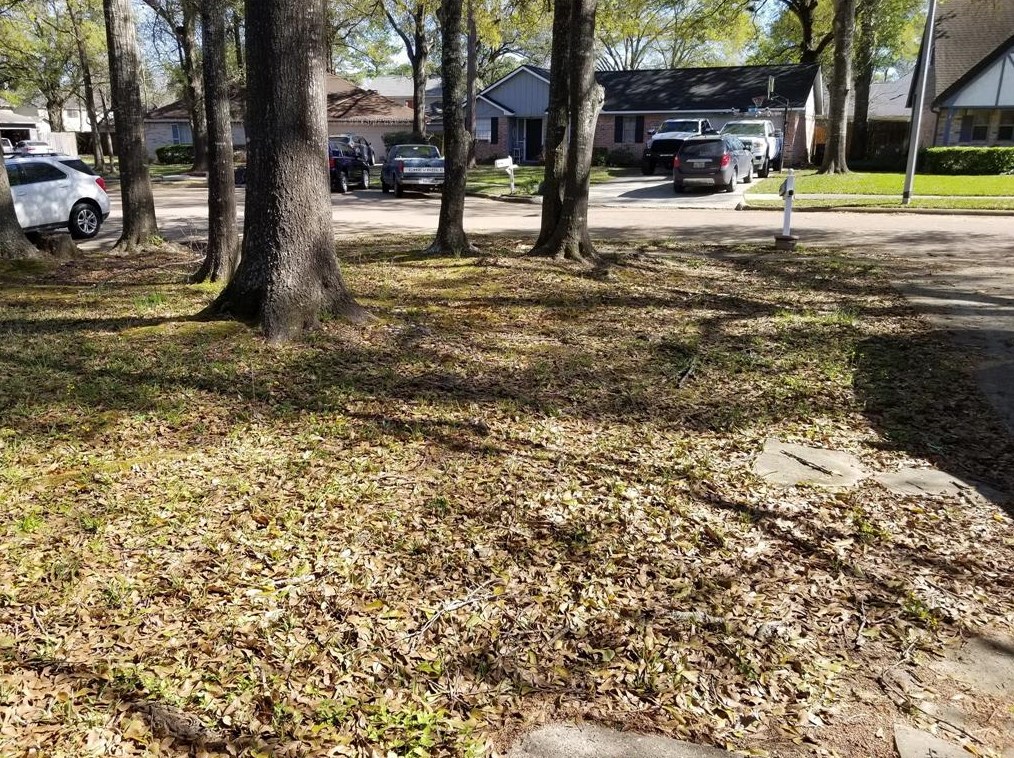 7010 Wyoma Trl, Spring TX  77379-4114 exterior