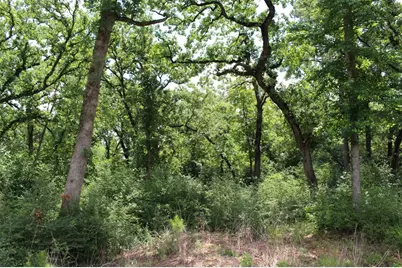 Tract 173 Private Road 1311, Centerville, TX 75833 - Photo 30