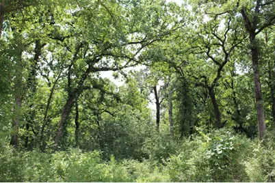 Tract 173 Private Road 1311, Centerville, TX 75833 - Photo 28