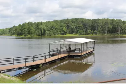 Tract 173 Private Road 1311, Centerville, TX 75833 - Photo 46