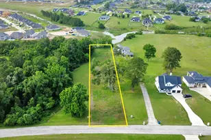 141 Grandview Blvd, Montgomery, TX 77356 - Photo 14