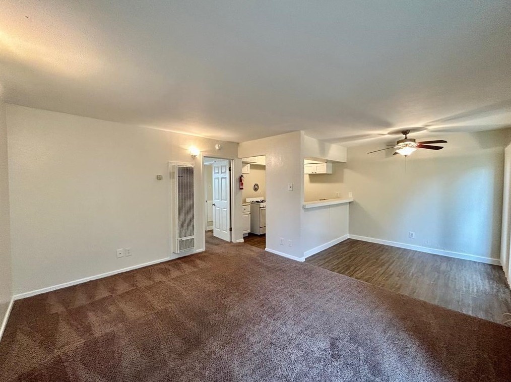 3629 N Macgregor Way #14, Houston, TX 77004