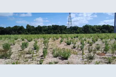 15419 Pinehurst Lane, Santa Fe, TX 77517 - Photo 8