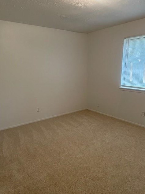 7402 Crisp Wood Ln, Houston TX  77086-3035 exterior
