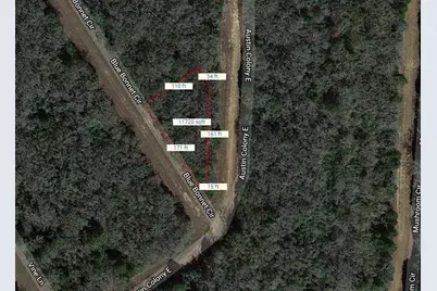 Lot 7 Blue Bonnet Circle, Normangee, TX 77871 - Photo 2