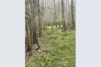 Tbd County Road 2505, Liberty, TX 77575 - Photo 2