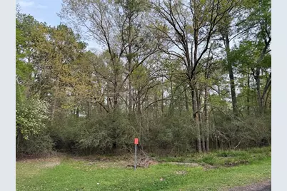 Tbd27 Broadmoor Drive, Trinity, TX 75862 - Photo 2