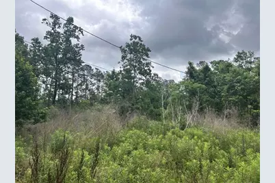 195 Greathouse Street, Vidor, TX 77662 - Photo 2