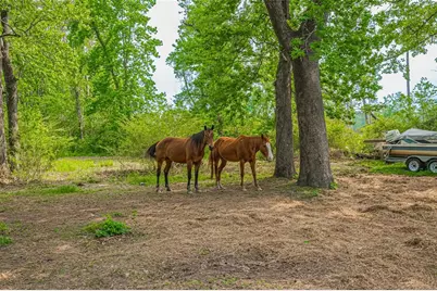 523 County Road 2073, Hull, TX 77564 - Photo 18