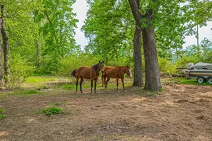 523 Co Rd 2073, Hull, TX 77564 - Photo 18