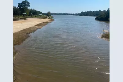 393 Ridge Lake Scenic Drive, Montgomery, TX 77316 - Photo 2