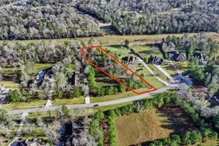 393 Ridge Lake Scenic Dr, Montgomery, TX 77316 - Photo 1