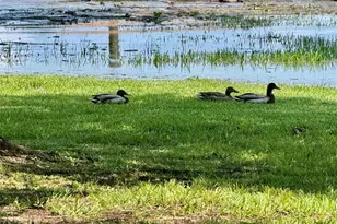 86 Huntington, Trinity, TX 75862 - Photo 44