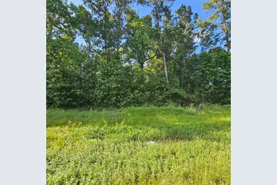 0000 Tx-105, Hull, TX 77564 - Photo 1