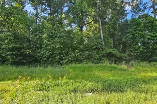 0000 Tx-105, Hull, TX 77564 - Photo 1