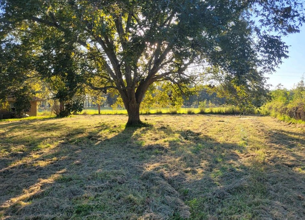 17962 Old Sour Lake Rd, China, TX 77613