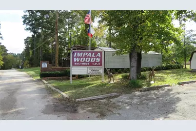 Lot 14 Moose Drive, Onalaska, TX 77360 - Photo 1