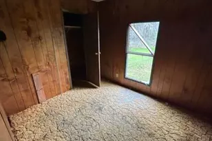 2579 County Rd 342, Brazoria, TX 77422 - Photo 4