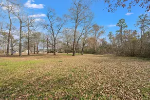 13115 Bethel Rd, Montgomery, TX 77356 - Photo 16