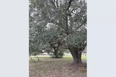 209 Tropical Drive, Victoria, TX 77904 - Photo 14