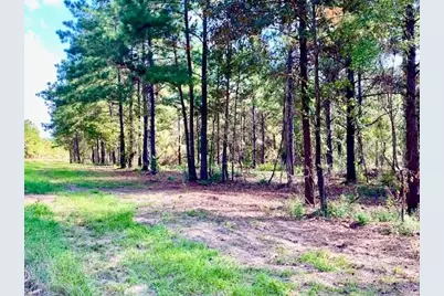 Tbd Cr 2310, Woodville, TX 75979 - Photo 1