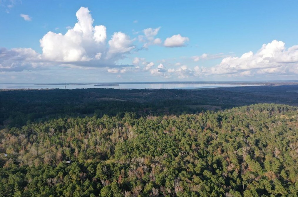 5220 Fm 222 Loop S, Stephen Creek, TX 77331