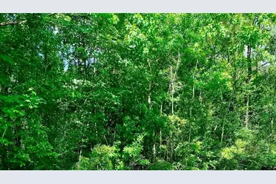 0 Ferito, Buna, TX 77612 - Photo 4