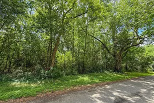 Tbd W Wheat St, Woodville, TX 75979 - Photo 1