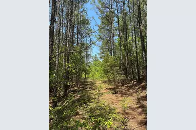 Tbd Pr 7261, Colmesneil, TX 75938 - Photo 22