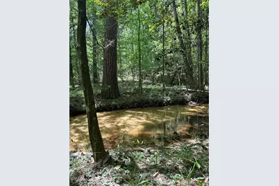 Tbd Pr 7261, Colmesneil, TX 75938 - Photo 14