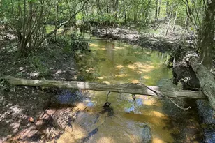 Tbd Pr 7261, Colmesneil, TX 75938 - Photo 1